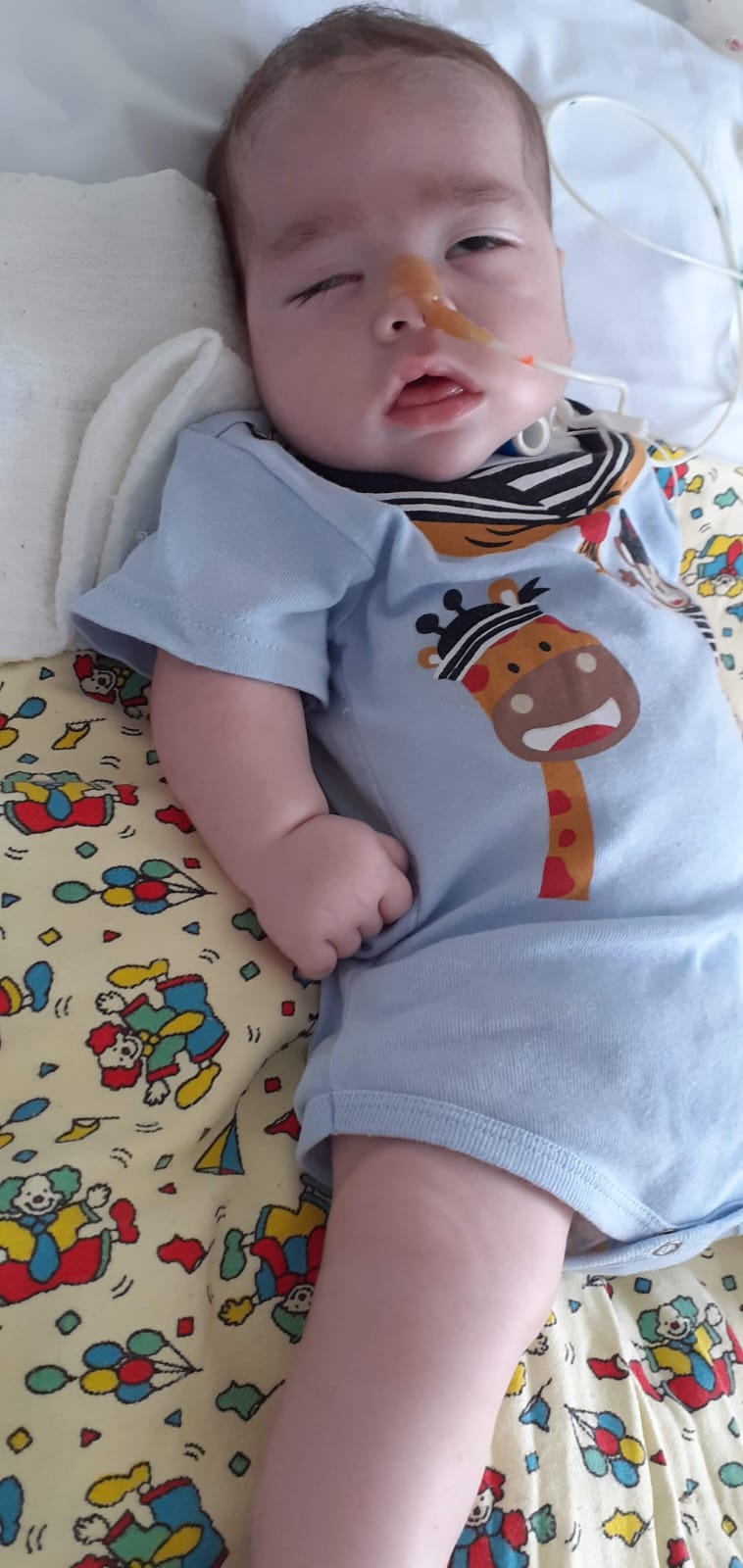 Um girafinha que virou símbolo